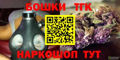 ешки Будённовск