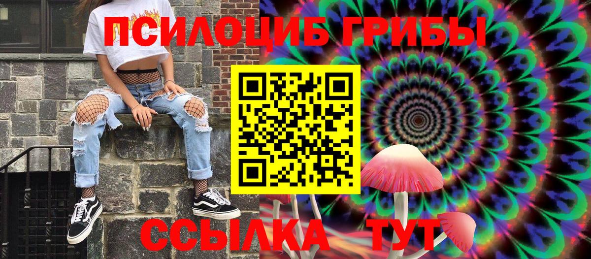 Рославль  Галлюциногенные грибы Psilocybine cubensis  Вход с VPN 