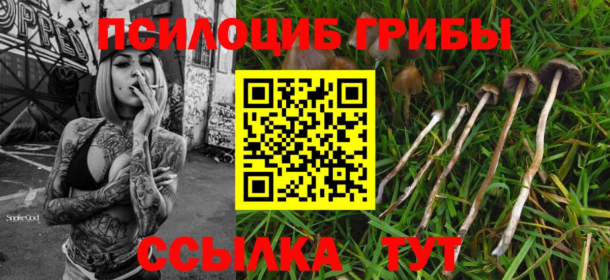 Псилоцибиновые грибы мухоморы Рославль